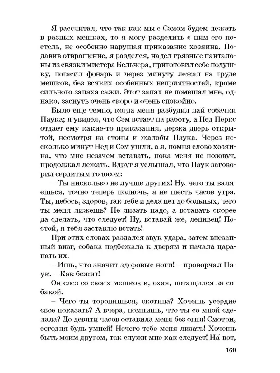 12 причин, по которым кошка лижет лицо и руки хозяина | КотоВедение | Дзен