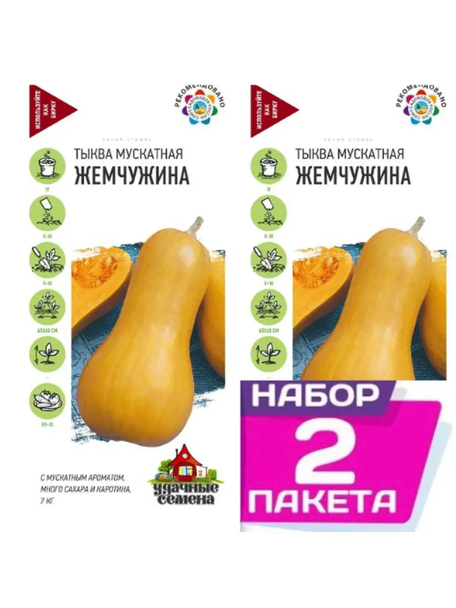Тыква Жемчужина Фото