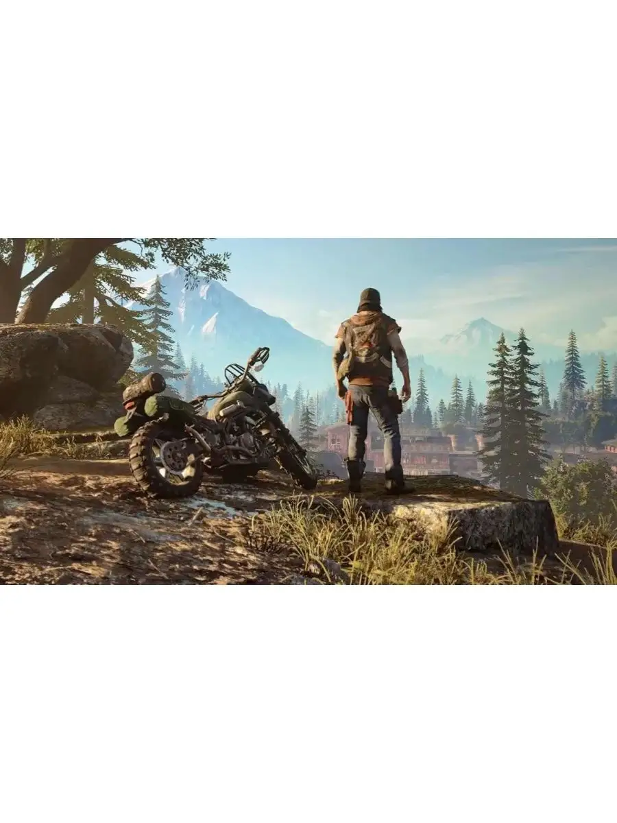 Видеоигра Days Gone PS4 Жизнь После игры на playstation 4 Sony Interactive  Entertainment Europe 106331478 купить за 3 615 ₽ в интернет-магазине  Wildberries