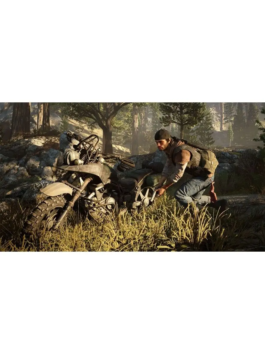 Видеоигра Days Gone PS4 Жизнь После игры на playstation 4 Sony Interactive  Entertainment Europe 106331478 купить за 3 615 ₽ в интернет-магазине  Wildberries