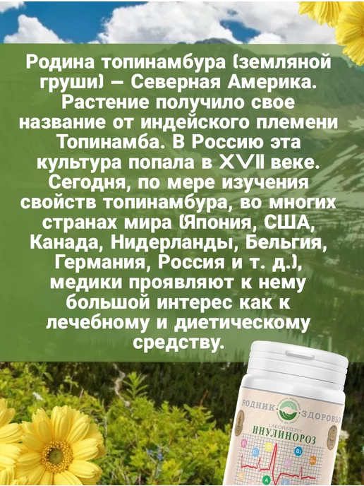 Родник Здоровья Инулинороз Фитосорбент магний калий фосфор фитококтель, вариант, фото 3