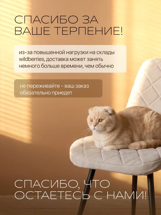 chiedocover Чехлы на стулья со спинкой Чили (CHILLY) 2 шт, 2 шт, фото 2