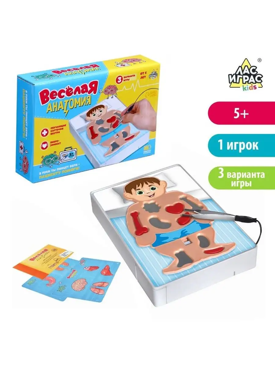 Весёлая анатомия Kindercity 106705172 купить за 849 ₽ в интернет-магазине  Wildberries