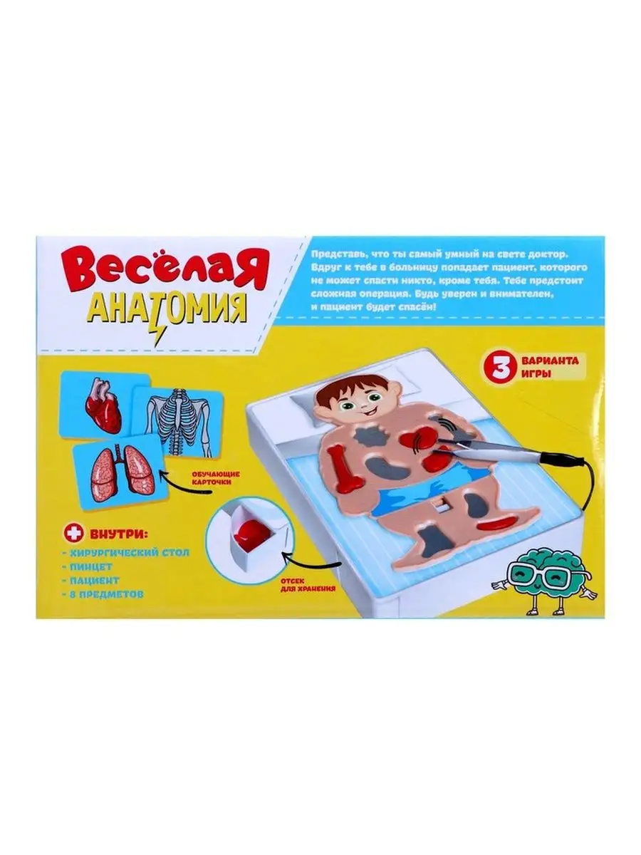 Весёлая анатомия Kindercity 106705172 купить за 849 ₽ в интернет-магазине  Wildberries