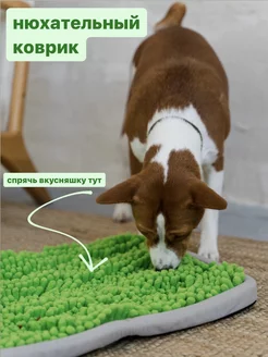 Нюхательный развивающий коврик для собак TopDog 106746103 купить за 1 037 ₽ в интернет-магазине Wildberries