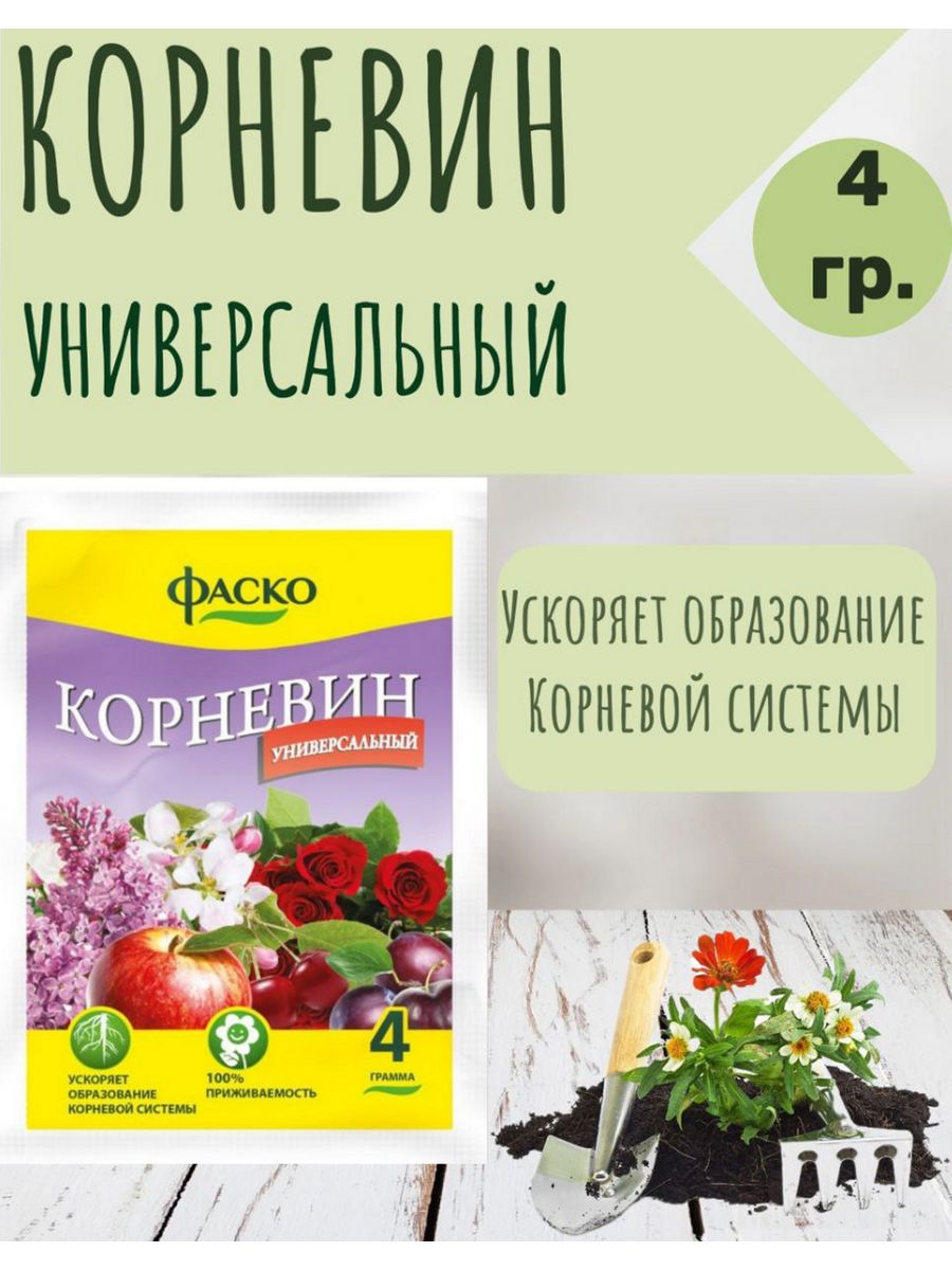 Фаско корневин. Корневин 4г вх. Корневин для рассады. Корневин паста.