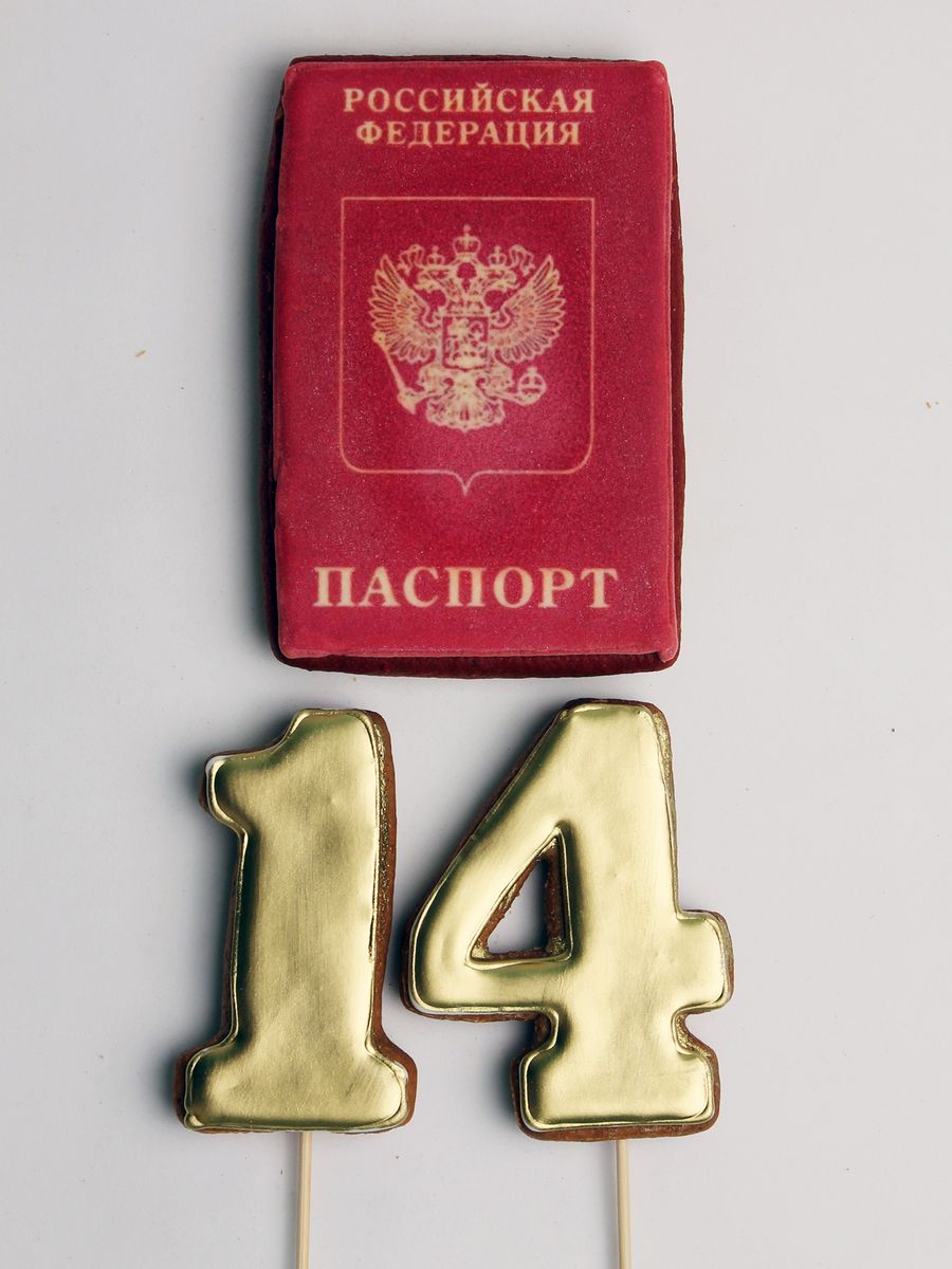 Пряник паспорт на 14