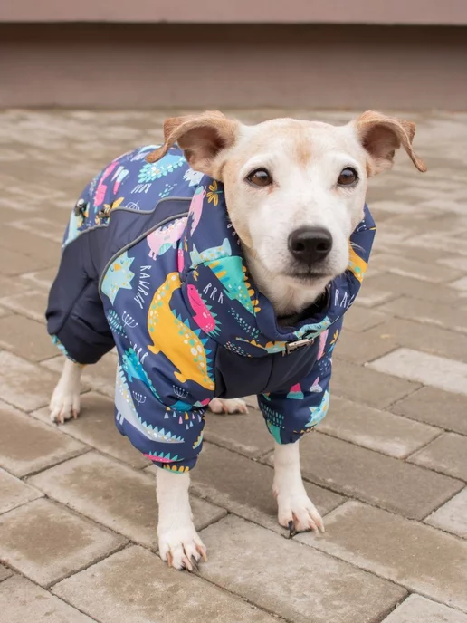 LuckyDogMsk Комбинезон для собак "Дино" утепленный, синий, фото 3