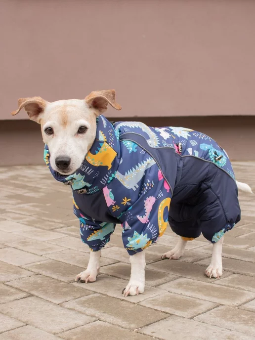 LuckyDogMsk Комбинезон для собак "Дино" утепленный, синий, фото 4