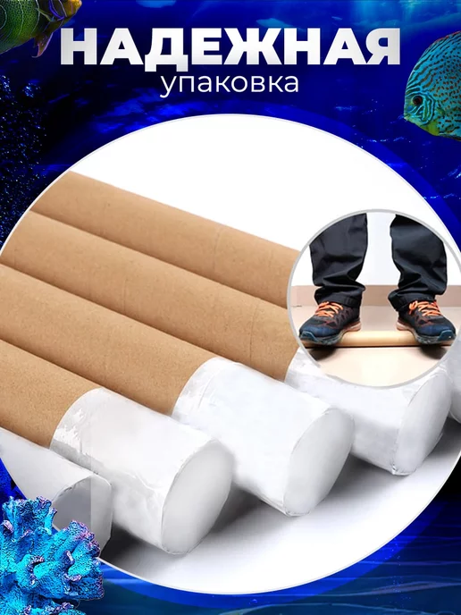 КУПИФОН Фон 50х100 для аквариумов и террариумов, 50x100, фото 4