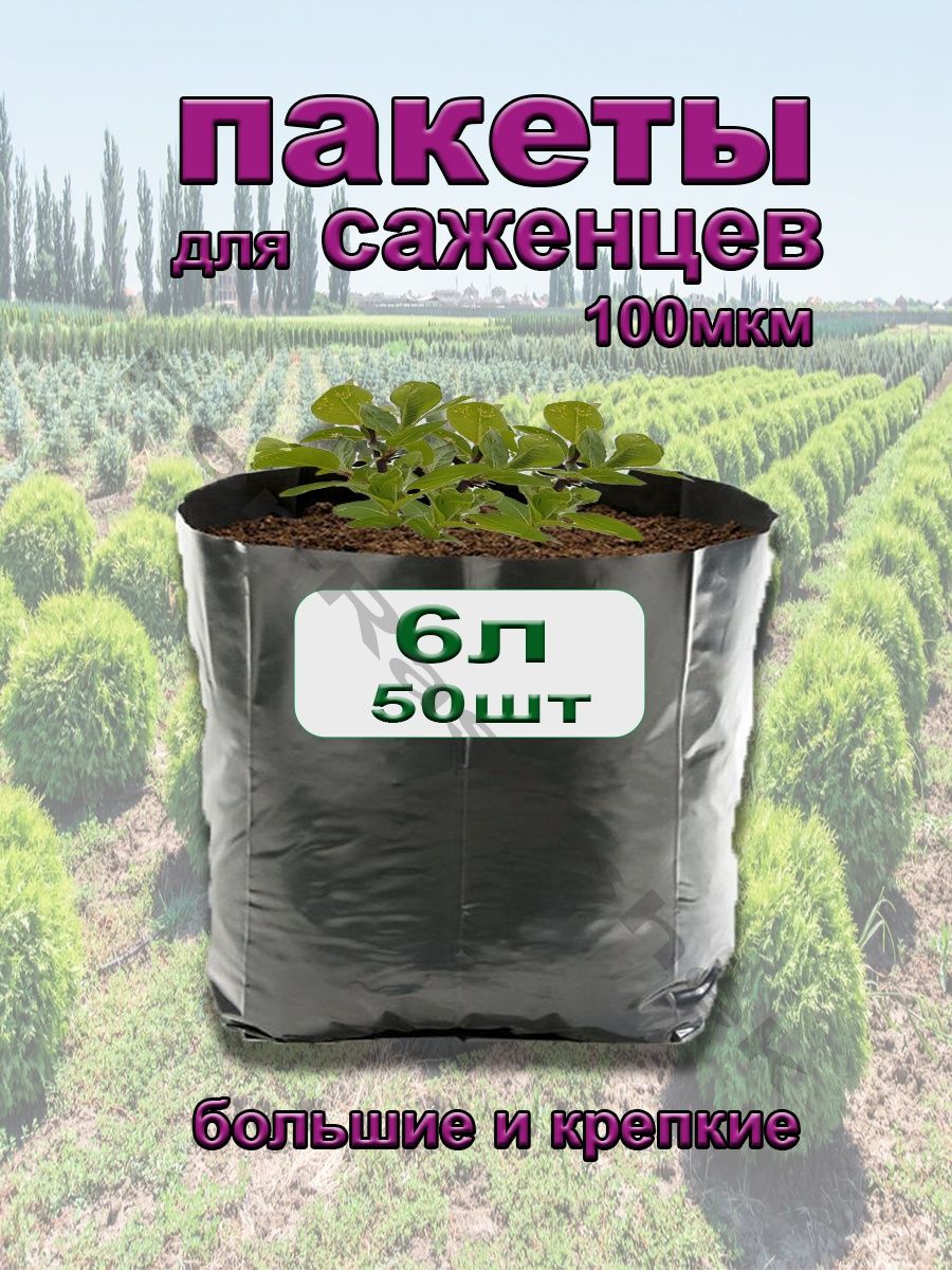 Купили 6 саженцев. Мешки для растений и саженцев. Растение в пакете. Продажа рассады.