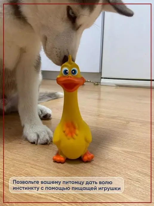 Olash Pets Игрушка для собак щенков зоотовары для животных из латекса, желтый, фото 4