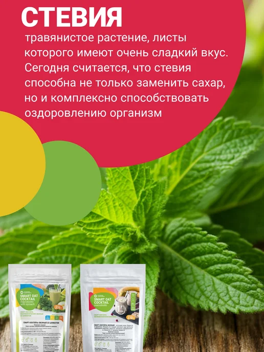 Родник Здоровья Коктейль овсяный для похудения без сахара напиток детокс, вариант, фото 8