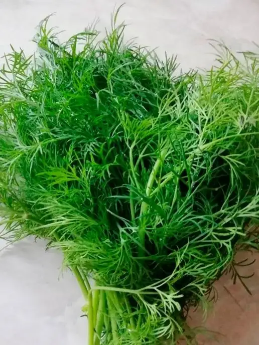 Семена Алтая Семена Укропа Кустистый Зелень на салат, зеленый, фото 4
