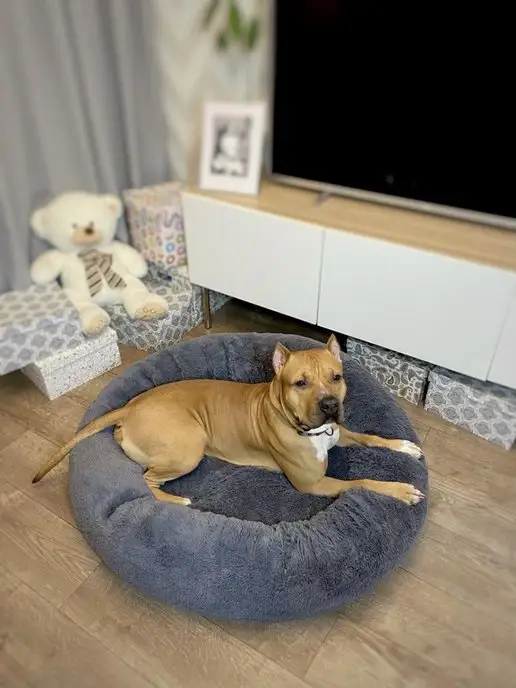 Pets Love Лежанка для собак крупных пород круглая, синий, фото 8