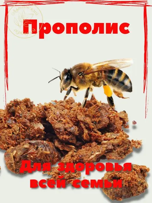 Правильный Мёд Прополис пчелиный натуральный, вариант