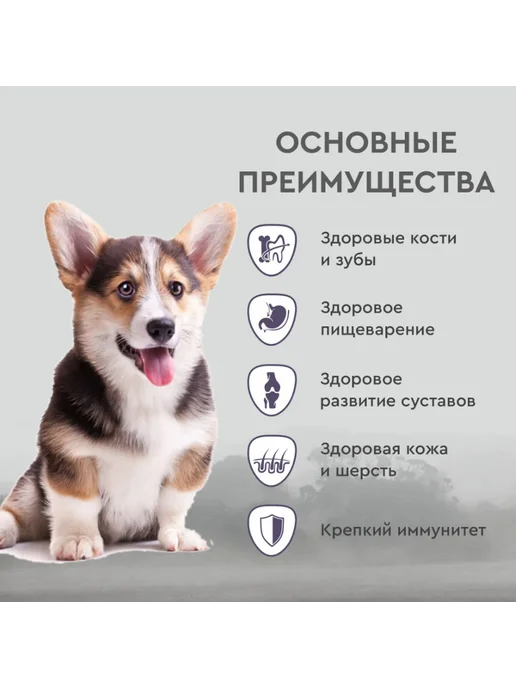 Сухой корм SECRET для собак, щенки, курица, 15 кг, фото 3
