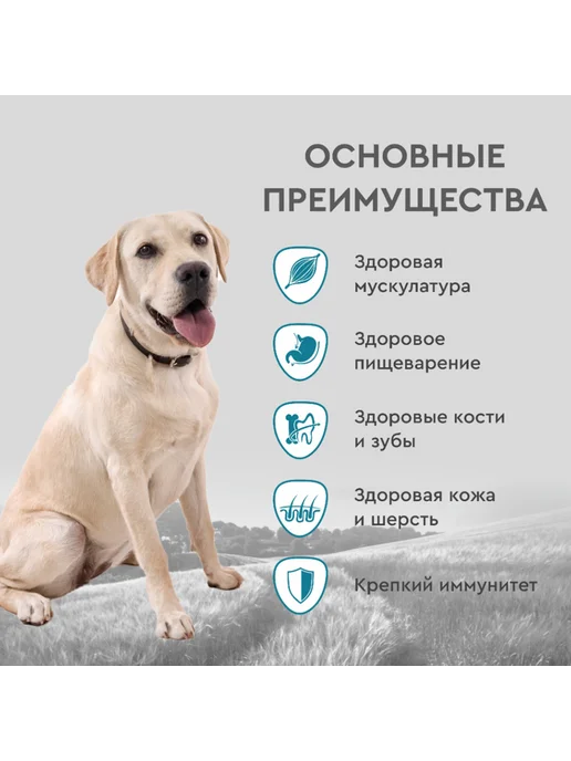 Сухой корм SECRET для собак, лосось, 2 кг, фото 3