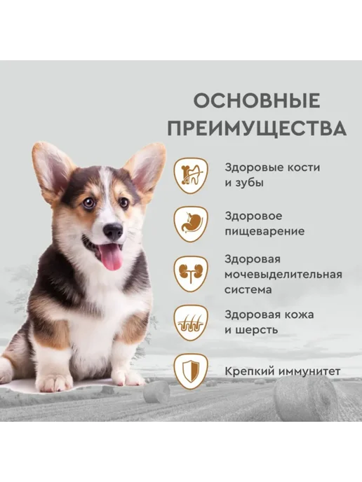 Сухой корм SECRET Маленьких для собак, курица, 15 кг, фото 5