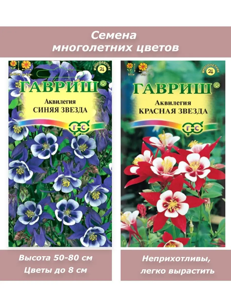 Семена многолетних цветов Аквилегия Гавриш 108726446 купить в  интернет-магазине Wildberries