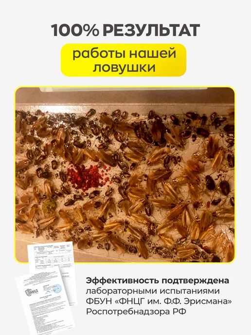 SofMark Клеевая ловушка для тараканов 10 шт, 10 шт, фото 2