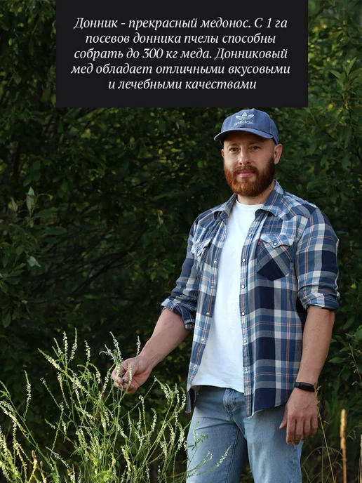 Добрый пасечник Донниковый мед густой 300 г, 300 г, фото 2