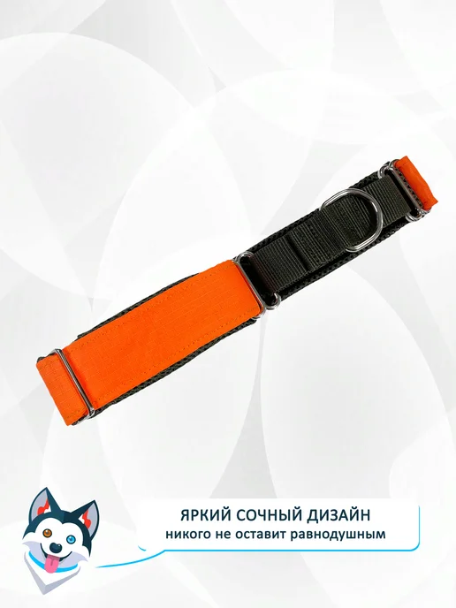 totemica Мартингейл для собак "Зелёно-оранжевый", зеленый, фото 5