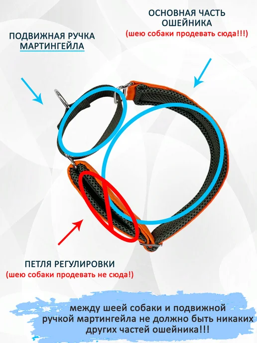 totemica Мартингейл для собак "Зелёно-оранжевый", зеленый, фото 6