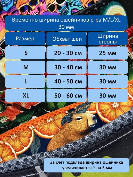 totemica Мартингейл для собак "Зелёно-оранжевый", зеленый, фото 7
