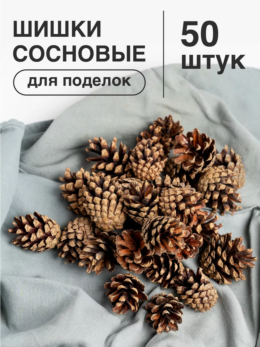 Шишки сосновые для поделок, декора, 50 шт