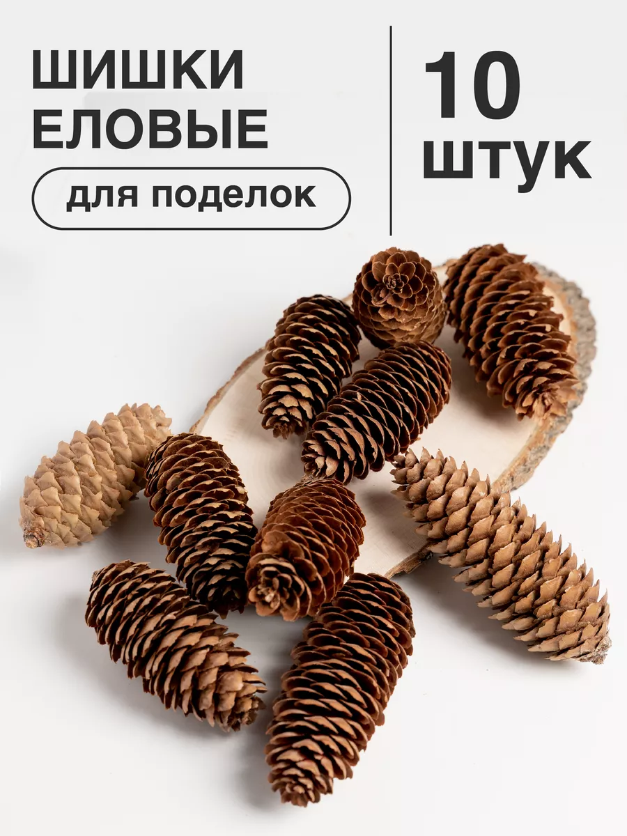 Шишки еловые для поделок, декора, 10 шт (небольшого размера) Nature craft  109380806 купить в интернет-магазине Wildberries