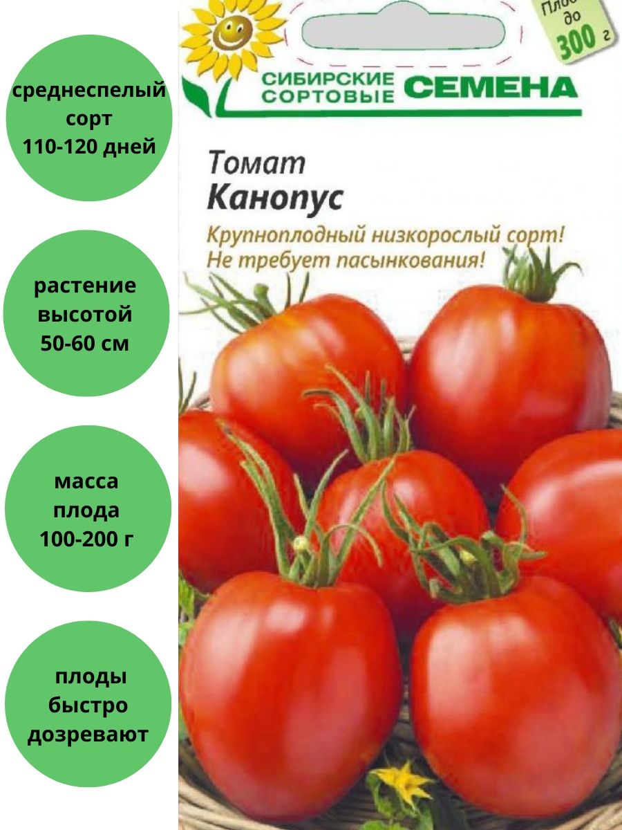 Томат канопус характеристика. Сорт томата Канопус. Томат Канопус фото. Канопус томат описание сорта. Томат Канопус 20шт дет.