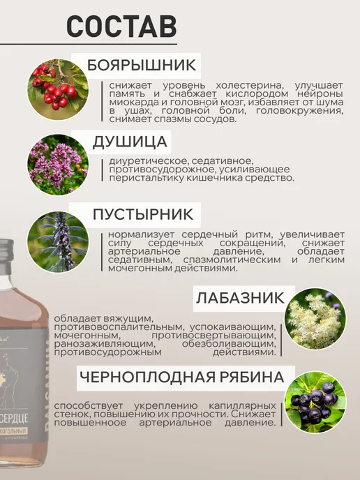 АЛТАЙ СИЛА Алтайский бальзам для сердца и сосудов, 250мл подарочный, 250 мл, фото 3