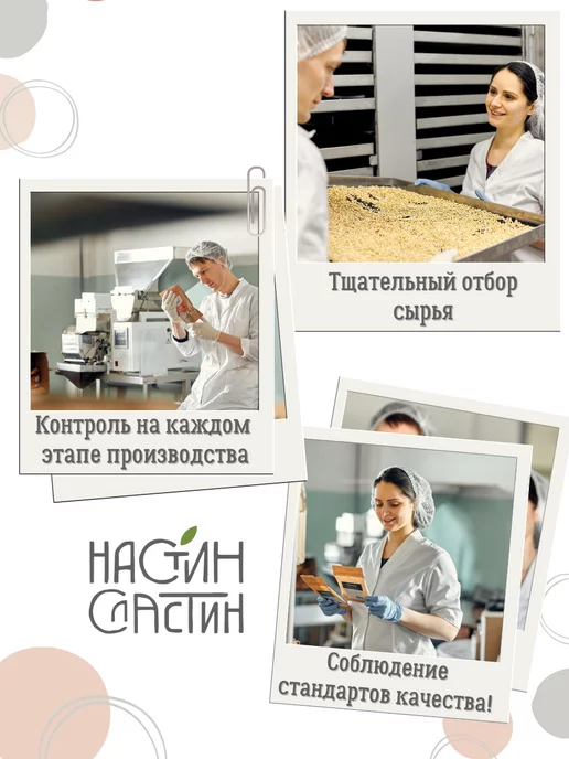 НастинСластин Гранола без сахара 1 кг с семенами коно_пли и чиа, 1 кг, фото 8