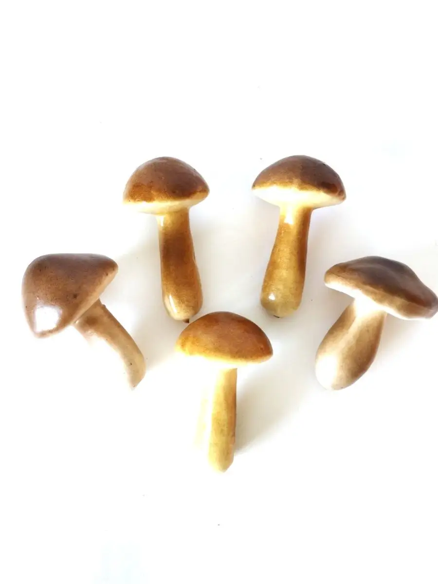 Заказать реалистичные муляжи грибов
