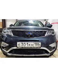 Защита радиатора Geely Atlas 2016-2020 Камера АвтоСтиль 109675847 купить за 4 175 ₽ в интернет-магазине Wildberries