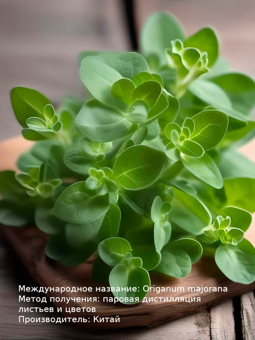 WIPLUS Эфирное масло Майоран, 5 мл, фото 3