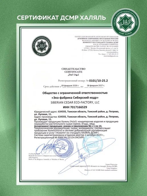 Сибирский кедр Кедровые орехи в натуральном шоколаде 60г, 60 г, фото 6