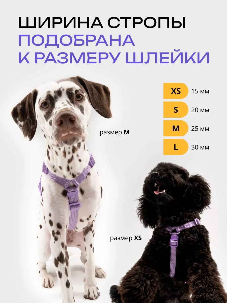 Купить шлейки для собак в интернет магазине steklorez69.ru | Страница 4
