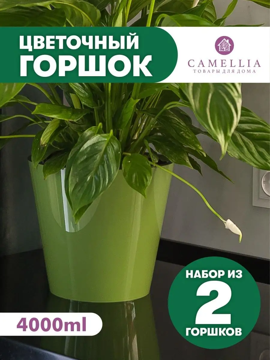 Горшок для цветов 4.л 2 шт. в наборе Camellia товары для дома 110114869  купить за 777 ₽ в интернет-магазине Wildberries