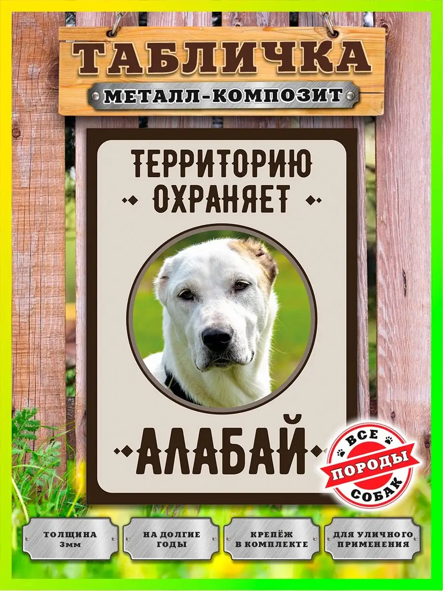 Табличка, Алабай Злая собака 110126157 купить за 462 ₽ в интернет-магазине  Wildberries