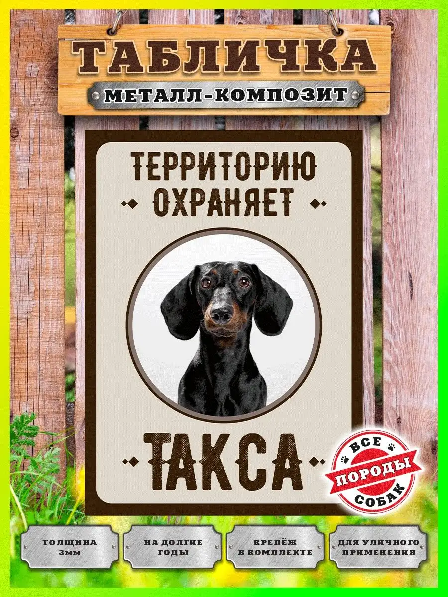 Табличка, Такса Злая собака 110126384 купить за 472 ₽ в интернет-магазине  Wildberries