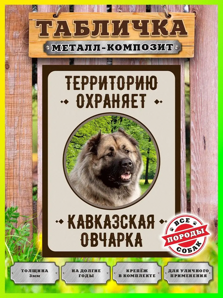 Злая собака Табличка, Кавказская овчарка