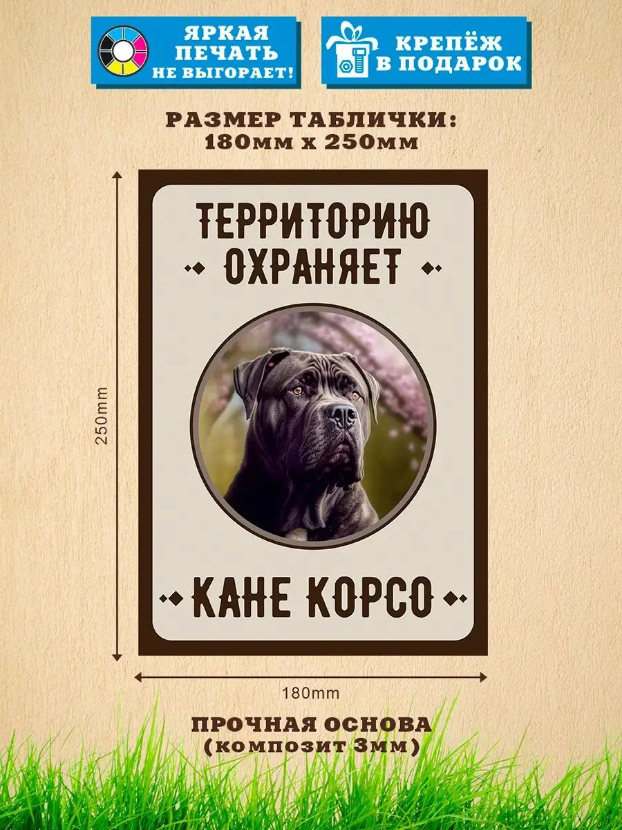 Табличка, Кане-корсо Злая собака 110134525 купить за 462 ₽ в  интернет-магазине Wildberries