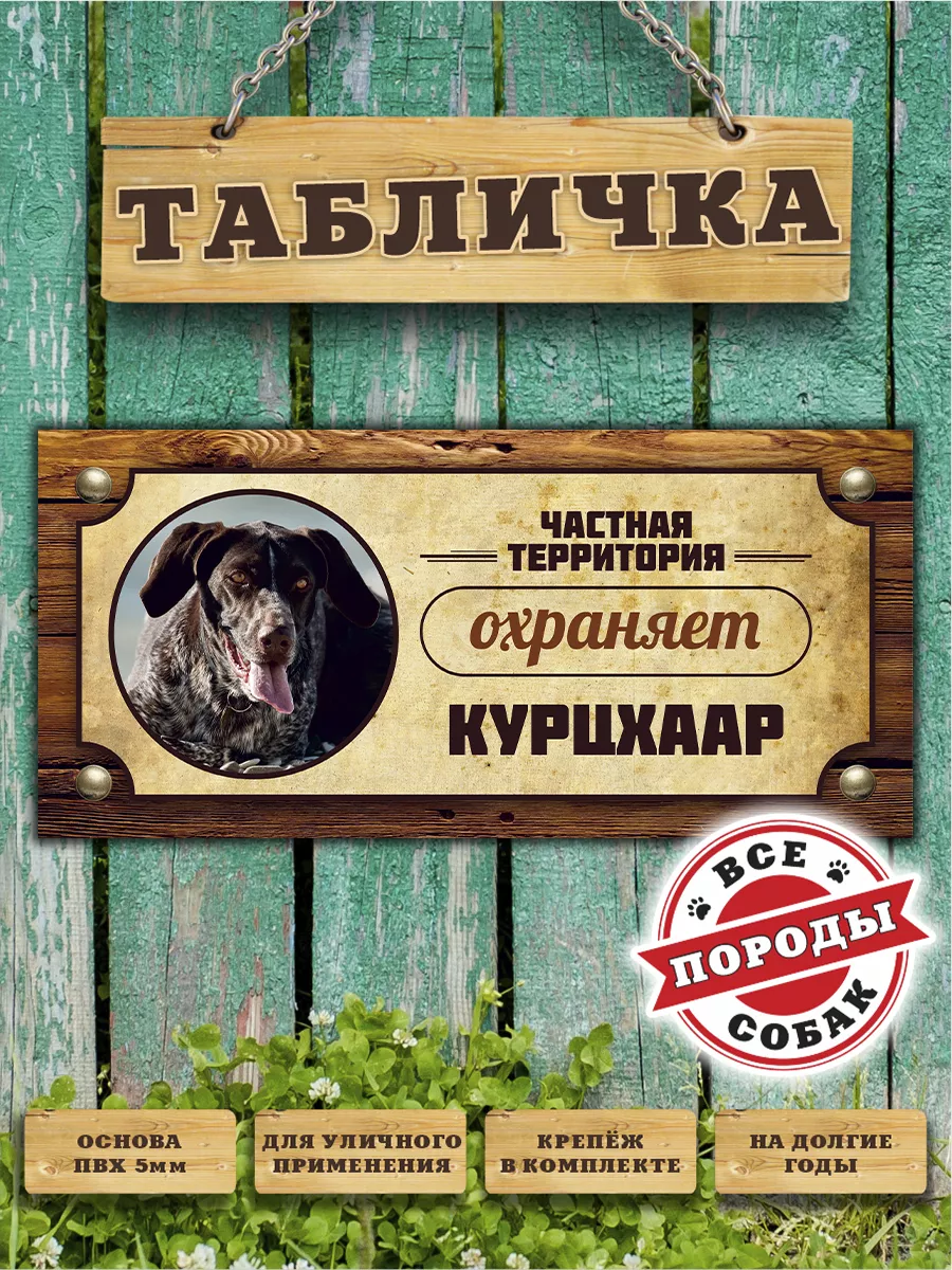 Табличка, Курцхаар Злая собака 110164896 купить за 418 ₽ в  интернет-магазине Wildberries