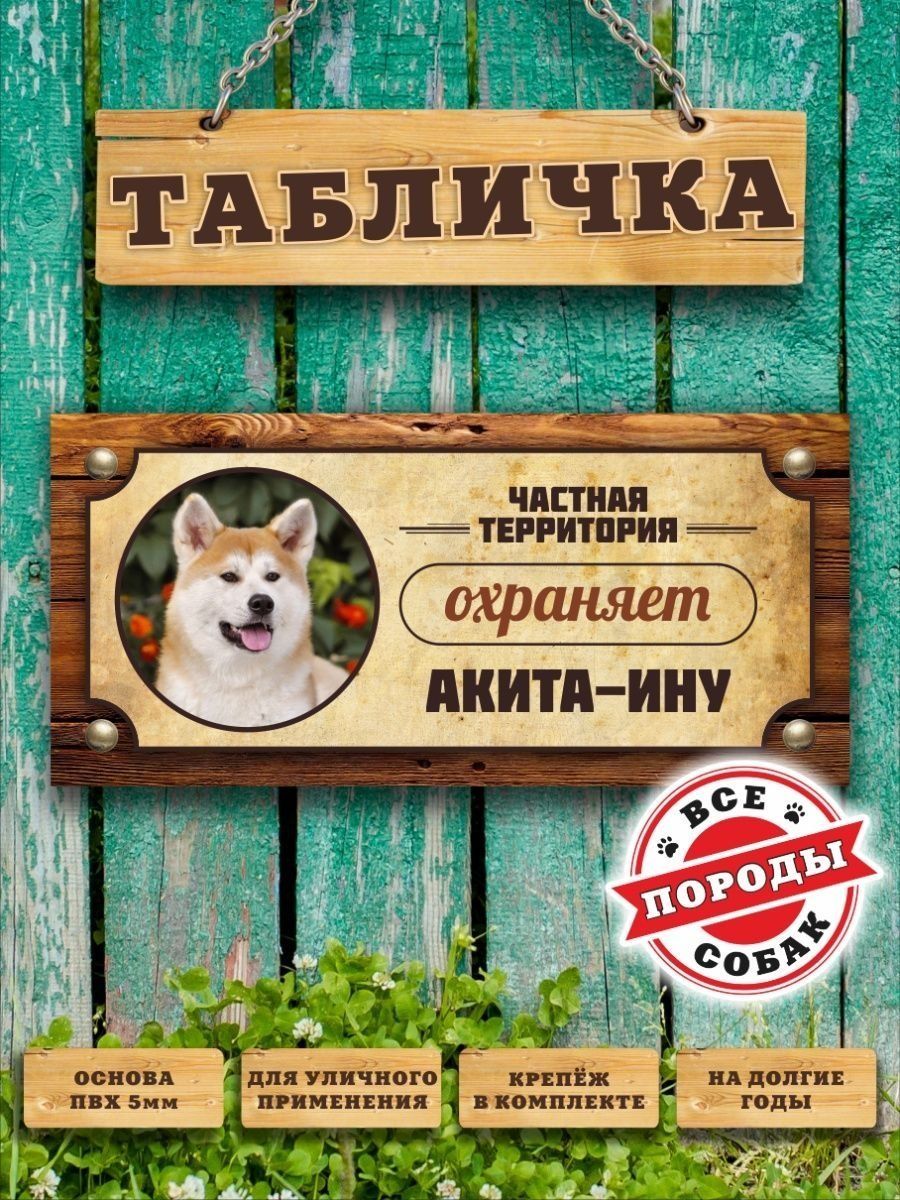 Табличка, Акита-ину Злая собака 110165632 купить за 443 ₽ в  интернет-магазине Wildberries