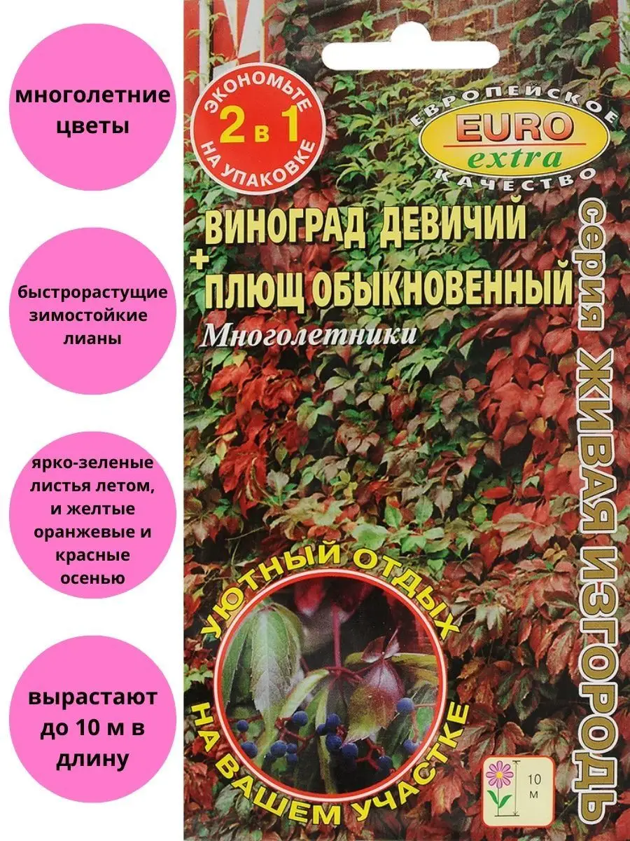 Виноград девичий Плющ обыкновенный Агрофирма Аэлита 110177311 купить в  интернет-магазине Wildberries