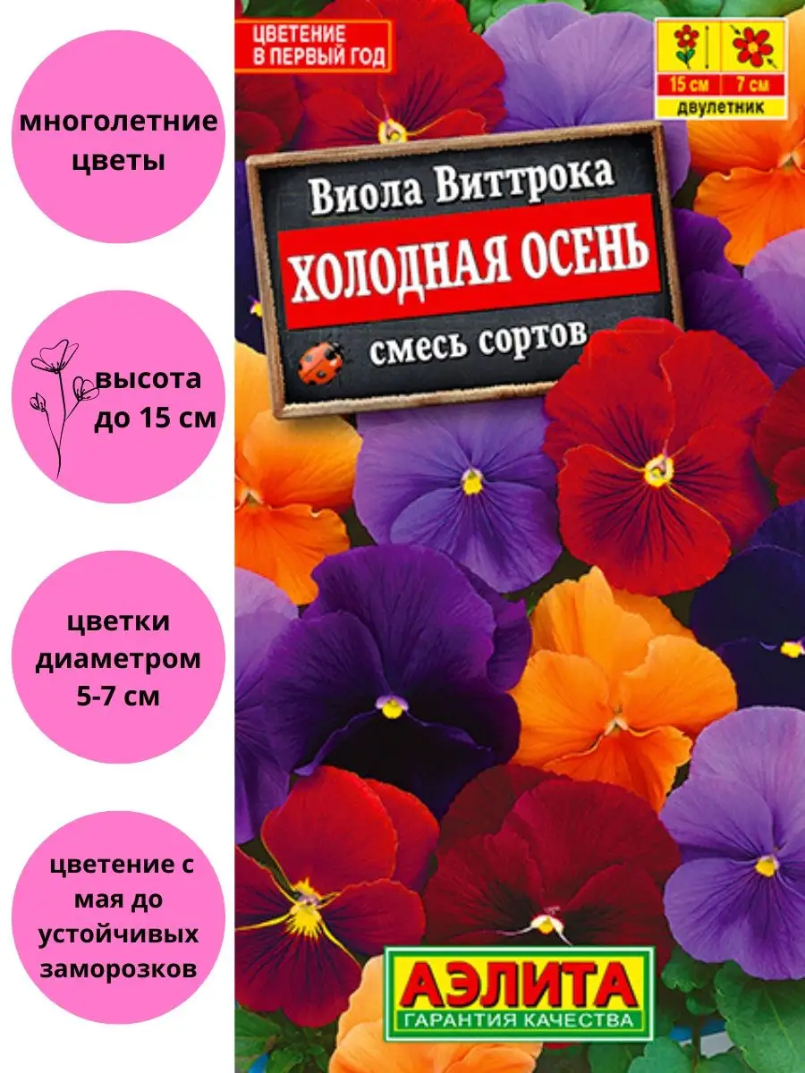 Виды и сорта виол: какие выбрать?