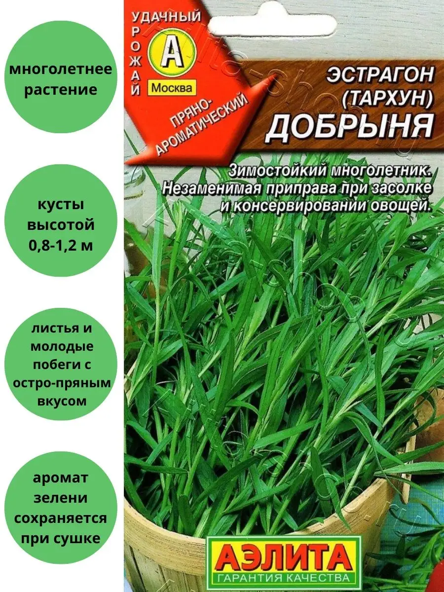 Эстрагон Тархун Добрыня Агрофирма Аэлита 110177348 купить в  интернет-магазине Wildberries