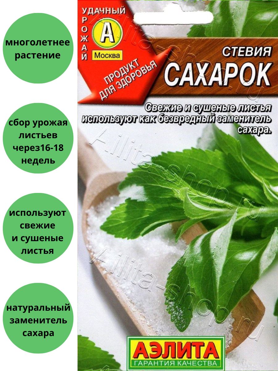 Цветки сахарок где. Семена стевия медовая трава. Стевия Сахарок.